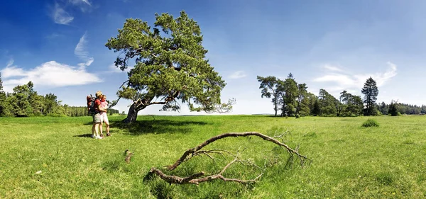 Beieren Grootste Duitse Staat Landoppervlakte Ongeveer Een Vijfde Van Totale — Stockfoto