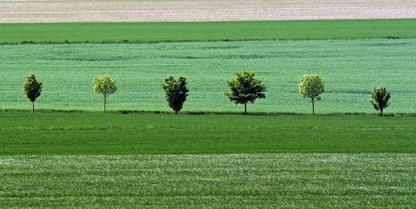 Pitoresca Vista Paisagem Rural — Fotografia de Stock