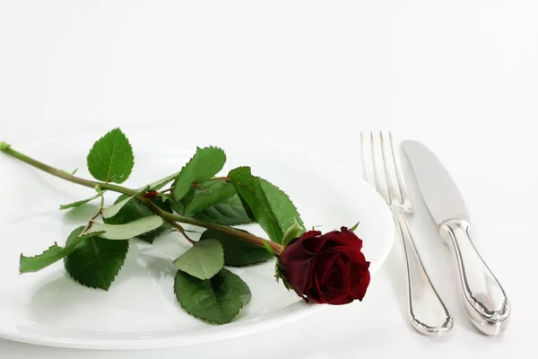 Różę Widelec Talerzu — Zdjęcie stockowe