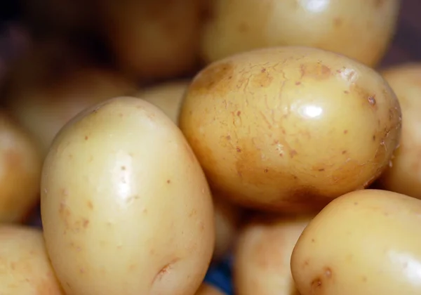 Свіжа Картопля Ринку — стокове фото