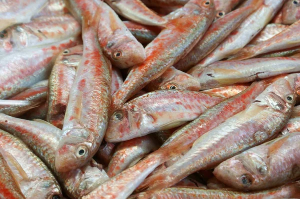 Peixe Fresco Mercado — Fotografia de Stock