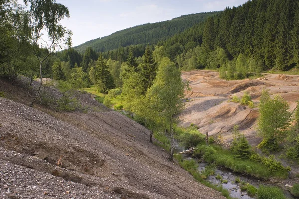 Bella Vista Della Scena Della Natura — Foto Stock