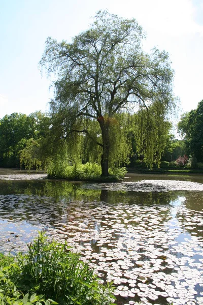 Cultuur Van Beierse Land Duitsland — Stockfoto