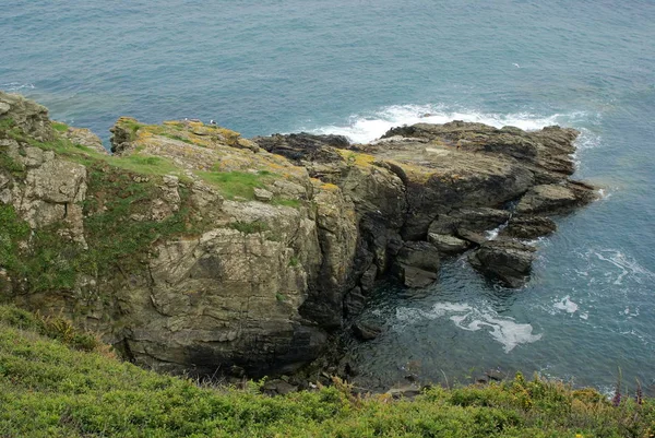 那头公牛 海岸上一个岩石般的露头 在海角上 South Devon — 图库照片