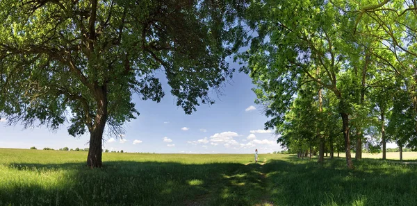 Красивая Земля Бавария Германии — стоковое фото