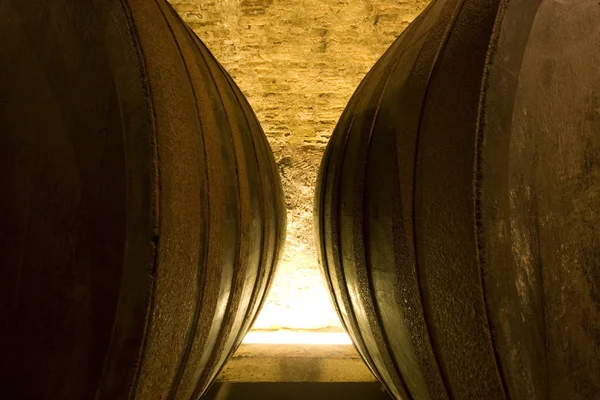 Велике Вино Португалії — стокове фото