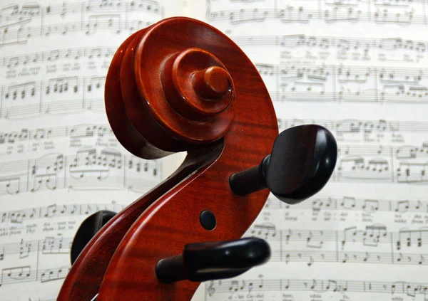 Close Violino Instrumento Musical — Fotografia de Stock