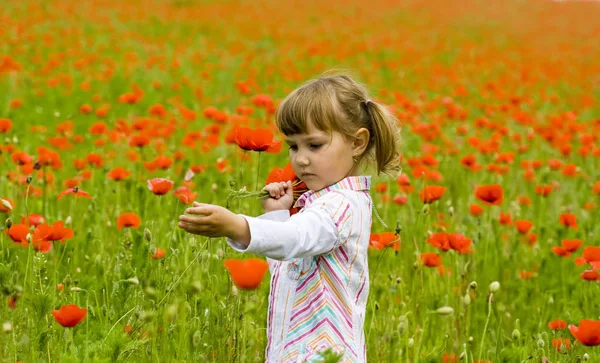 草甸与红色罂粟花的女孩 — 图库照片