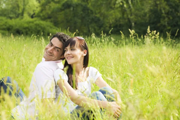 Eine Wiese Ist Ein Offenes Habitat Oder Feld Bewachsen Mit — Stockfoto