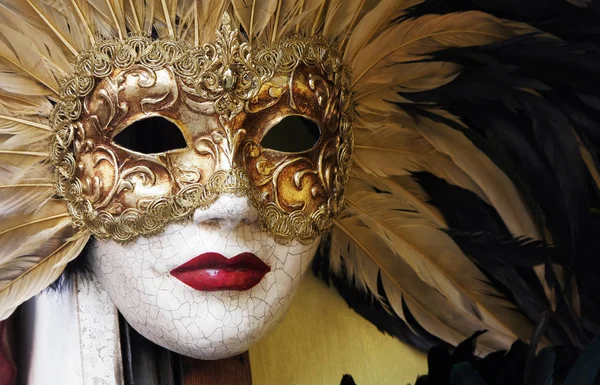 Carnaval Masker Maskerade Kostuum — Stockfoto