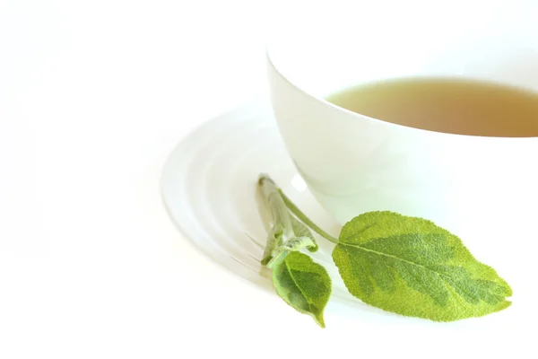 Delicious Fragrant Herbal Tea — Stock Photo, Image