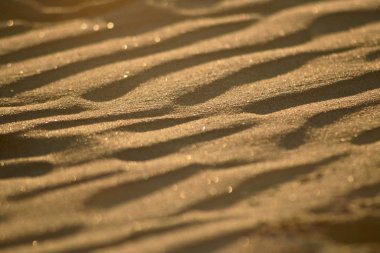 traces in the hot sand clipart
