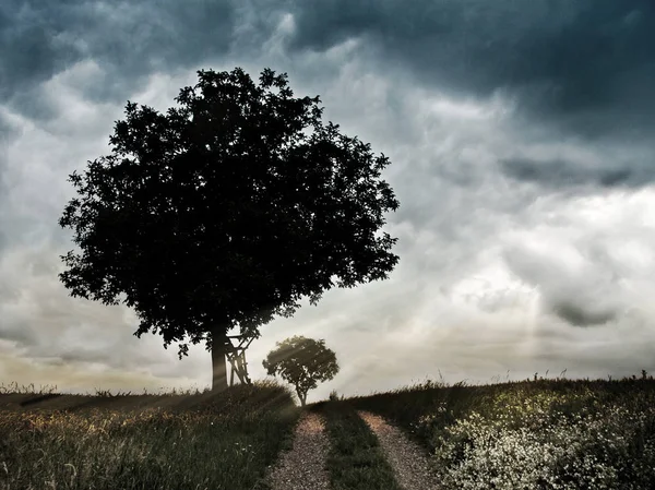 Malerischer Blick Auf Die Landschaft — Stockfoto