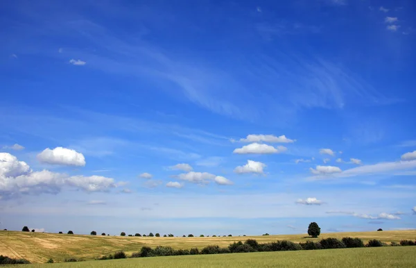 Vue Pittoresque Sur Beau Paysage Printanier — Photo