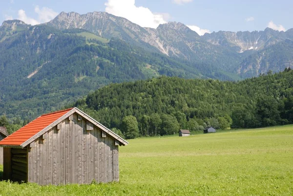 オーストリアのネジンガー山 Vorarlberg — ストック写真