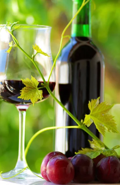 ガラスと赤ワインのボトル — Stock fotografie