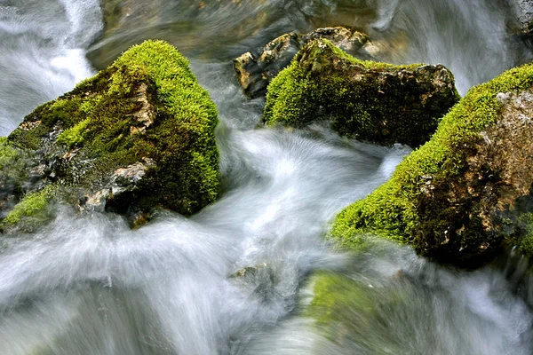 Bella Vista Della Scena Della Natura — Foto Stock