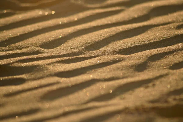 Sporen Het Hete Zand — Stockfoto