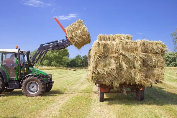 Pittoresk Utsikt Över Naturscenen — Stockfoto