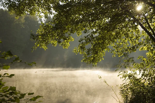 Ranní Mlha Jezeře — Stock fotografie