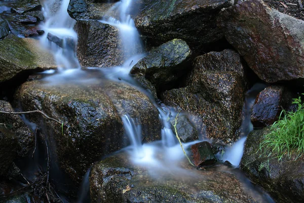 自然植物滝の水の流れ — ストック写真