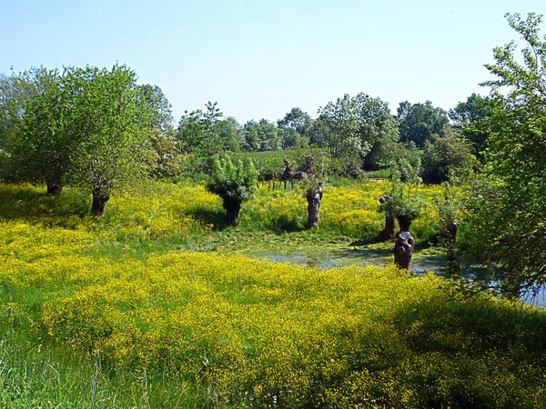 Belle Vue Sur Les Paysages Naturels — Photo