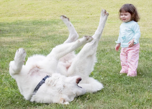 Маленькая Девочка Собака Парке — стоковое фото