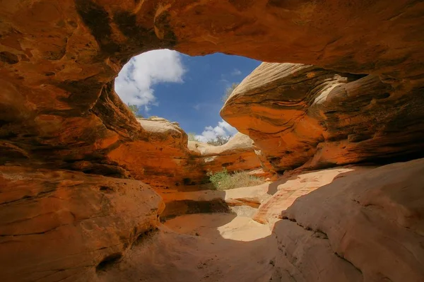 Grotto Capitol Reef National Park Utah Usa — Foto de Stock