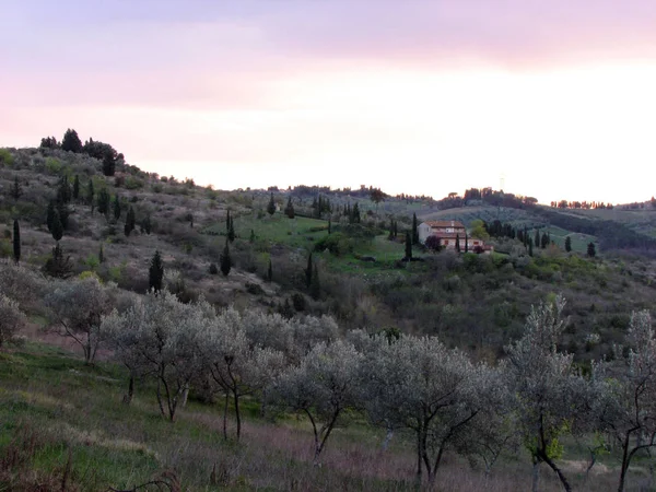 Toscana Região Centro Itália — Fotografia de Stock