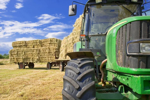 Scenic View Countryside Selective Focus Stock Photo