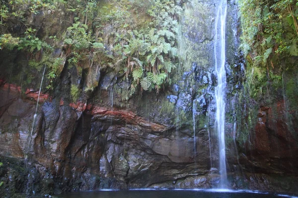 Bella Vista Della Scena Della Natura — Foto Stock