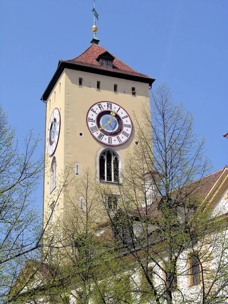 Árboles Con Torre Regensburg — Foto de Stock