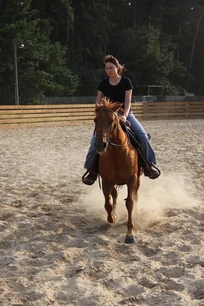 Jovem Mulher Equitação Cavalo Parque — Fotografia de Stock