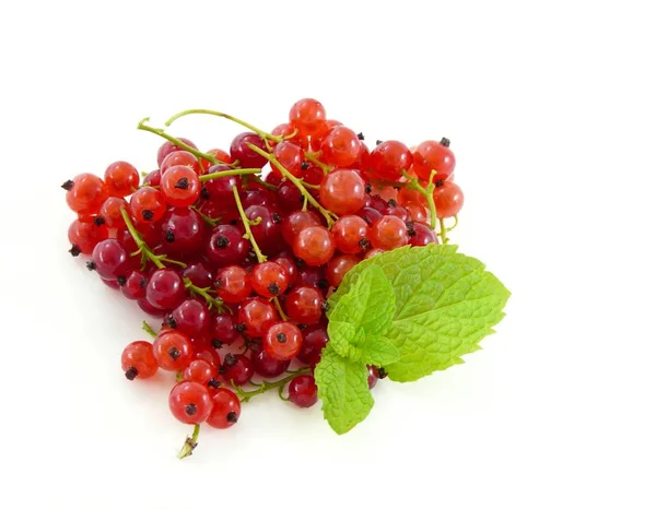 Grosella Roja Fresca Aislada Sobre Fondo Blanco — Foto de Stock