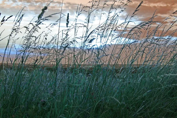 Schöne Aussicht Auf Die Natur — Stockfoto