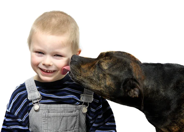 Schilderachtige Kijk Vriendschap Concept — Stockfoto