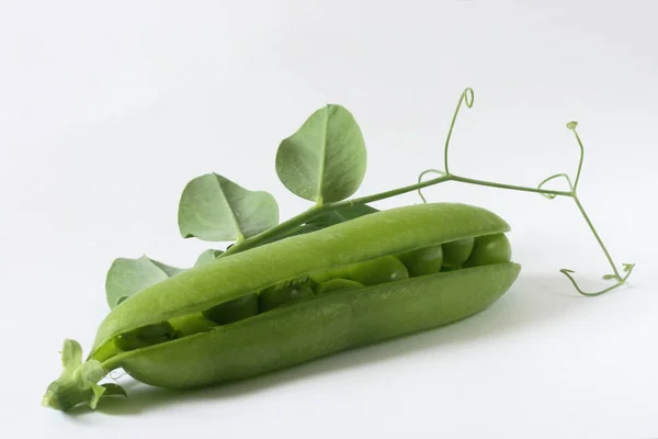 葉のついた新鮮なエンドウ豆のポッド — ストック写真