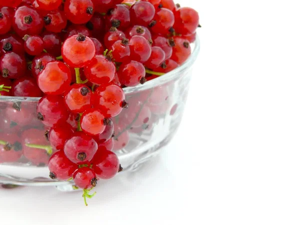 Red Currant Dalam Mangkuk Kaca — Stok Foto