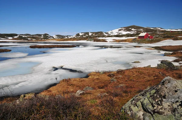 Rozmrażanie Jeziora Czerwcu Płaskowyżu Hardangervidda Norwegii 1300 Metrów — Zdjęcie stockowe