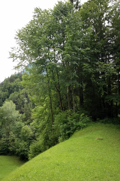 Nos Alpes Tiroleses — Fotografia de Stock