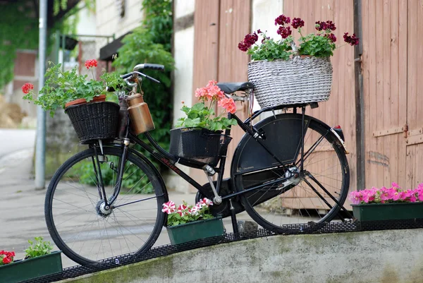 Bicicleta Vintage Con Flores Calle — Foto de Stock