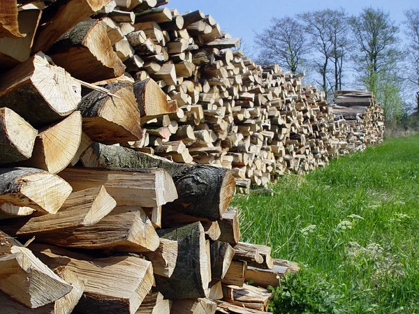 Stapel Von Holzstapeln — Stockfoto