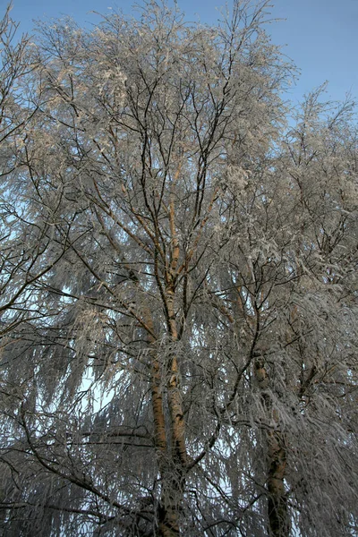 自然景観の美しい眺め — ストック写真