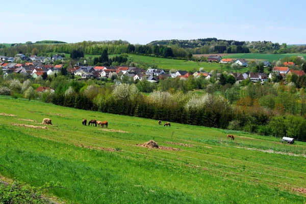 Saarland Zalesione Południowo Zachodnie Państwo Niemieckie Graniczące Francją Luksemburgiem — Zdjęcie stockowe