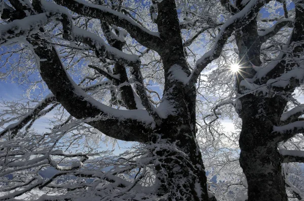 Cumbre Cubierta Nieve Frente Cielo Azul Con Sol —  Fotos de Stock