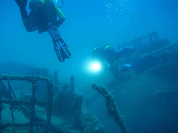 marine theme wallpaper, underwater shot