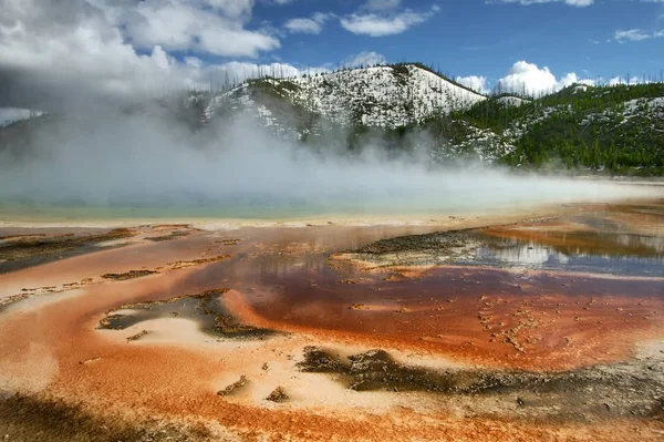 Vacker Utsikt Över Naturen — Stockfoto