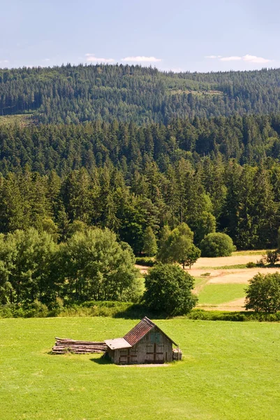 View Valley Waldhaus — Stock Photo, Image