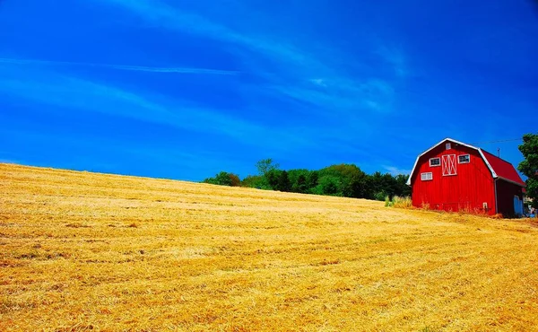 Countryside Agriculture Landscape Cereal Growing — Stock Photo, Image