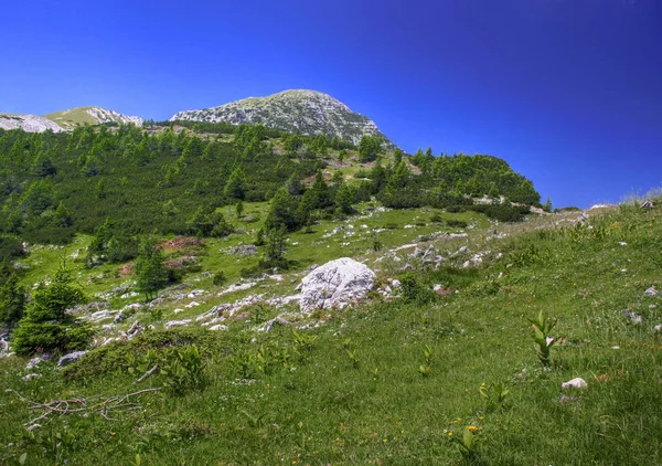 Сталлхофен Муллі Каринтія — стокове фото